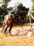 DSC07717 DSC07717