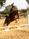 DSC07719 DSC07719