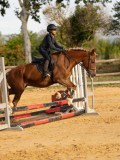 DSC07725 DSC07725