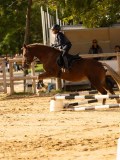 DSC07728 DSC07728