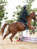 DSC07268 DSC07268
