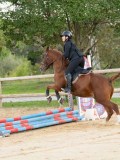 DSC07273 DSC07273