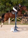 DSC00376 DSC00376