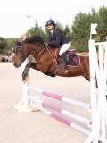 DSC06785 DSC06785