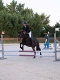 DSC05785 DSC05785