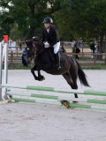 DSC05788 DSC05788
