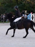 DSC05796 DSC05796