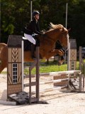 DSC08680 DSC08680