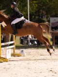 DSC08685 DSC08685