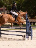 DSC08690 DSC08690