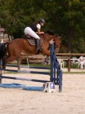 DSC09624 DSC09624