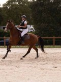 DSC09626 DSC09626