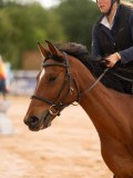 DSC04134 DSC04134