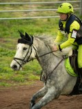 DSC08254 DSC08254