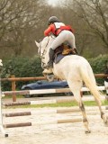 DSC03567 DSC03567