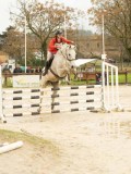 DSC03568 DSC03568