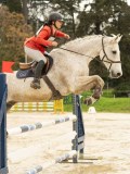 DSC03569 DSC03569