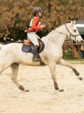 DSC03576 DSC03576