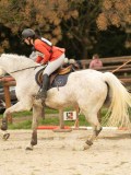 DSC03583 DSC03583