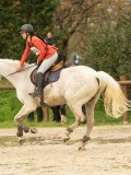 DSC03584 DSC03584