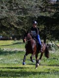 IMG_1546 IMG_1546