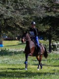 IMG_1547 IMG_1547