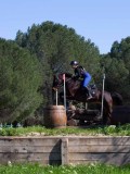IMG_1550 IMG_1550
