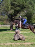 IMG_1553 IMG_1553