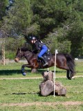 IMG_1554 IMG_1554