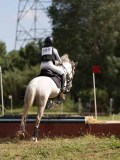 IMG_4163 IMG_4163