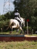 IMG_4164 IMG_4164
