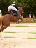 DSC06524 DSC06524