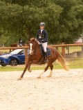 DSC06525 DSC06525