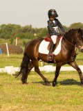 DSC09944 DSC09944