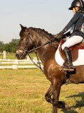 DSC09945 DSC09945