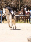 DSC00973