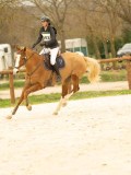DSC07334 DSC07334
