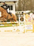 DSC07335 DSC07335