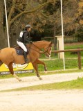 DSC07339 DSC07339