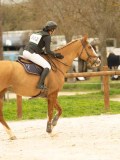 DSC07340 DSC07340