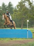 DSC08458 DSC08458