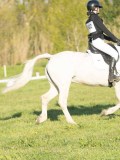 24_04725 24_04725