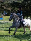 IMG_1558 IMG_1558