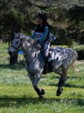 IMG_1560 IMG_1560