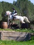 IMG_1562 IMG_1562