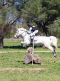IMG_1565 IMG_1565
