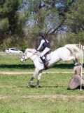 IMG_1567 IMG_1567