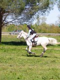 IMG_1568 IMG_1568