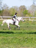 IMG_1579 IMG_1579