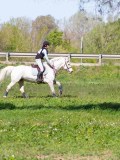 IMG_1580 IMG_1580
